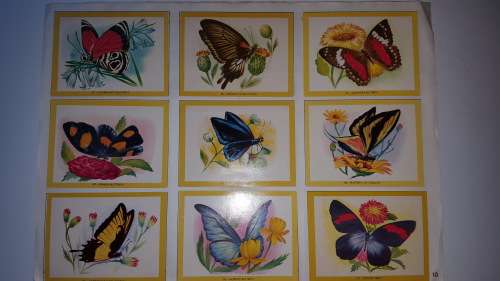 1972 Naturama Album (380 cards) [Complete!!!]