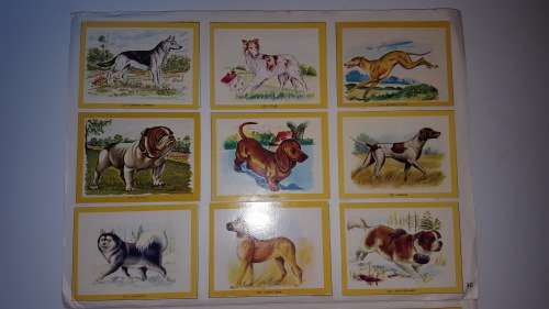 1972 Naturama Album (380 cards) [Complete!!!]