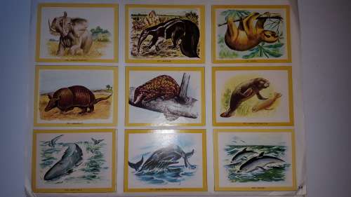1972 Naturama Album (380 cards) [Complete!!!]