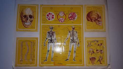 1972 Naturama Album (380 cards) [Complete!!!]