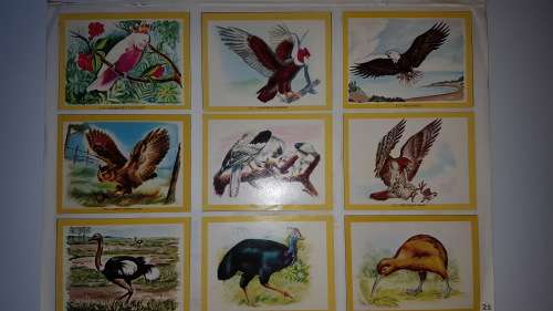 1972 Naturama Album (380 cards) [Complete!!!]