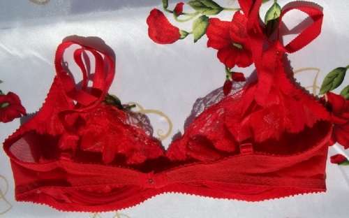 *** SALE *** ESCORA RED LACE BRA SET - MADE IN WEST GERMANY - SIZE - 76 C / TANGO - SMALL