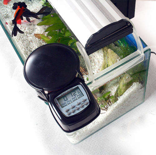Automatic Fish Feeder