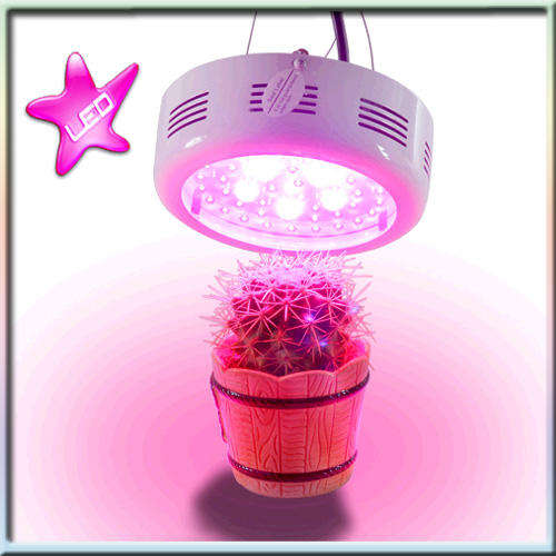 LED Grow Light - Hendrix Edition (NASA Red and Blue)