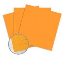 Worldwin - CutMates - 12"x12" - 10PK - Butternut Squash
