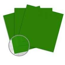 Worldwin - CutMates - 12"x12" - 10PK - Cilantro