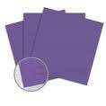 Worldwin - CutMates - 12"x12" - 10PK - Concord Grapes