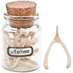 Idea-Ology Wishbones 15/Pkg without package just the jar with the wishbones Less 10%