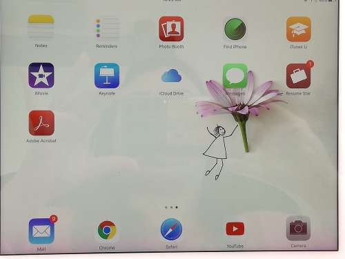 Ipad Pro latest addition 9.7 inch 32gb wifi only Rose Gold 7 months old, No scratches!!!!