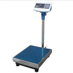 Electronic Computing 300kg Platform Digital Scale