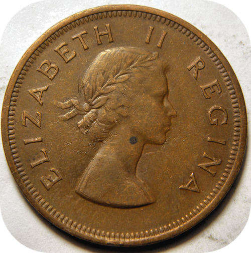 Bargain SA Union: 1954 Penny 1d in EF below R30!!!