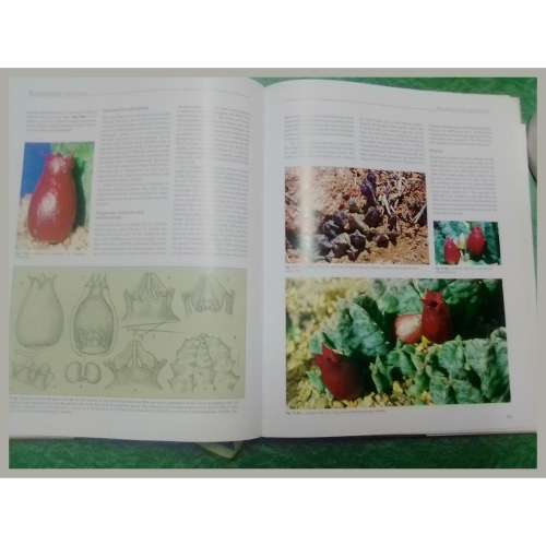 Stapeliads of Southern Africa & Madagascar Vol 1 & 2