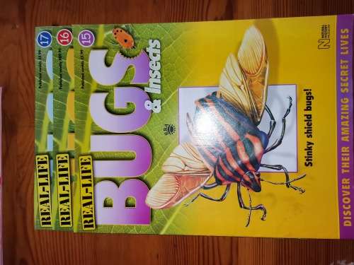 27 Real life bugs and incects