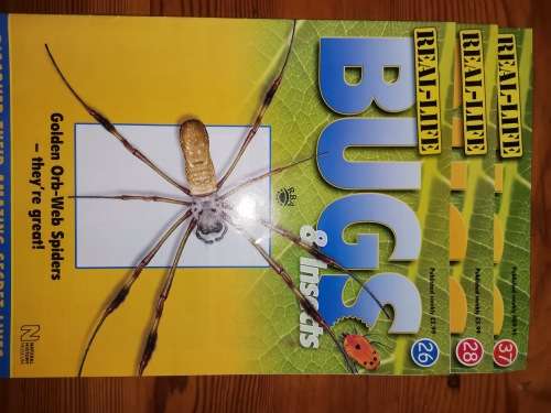 27 Real life bugs and incects
