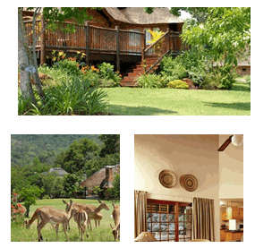 Kruger Park Lodge Rental available 27 March - 3 April 2013. Bed 2 + Loft, Bath 2, Sleeps 8