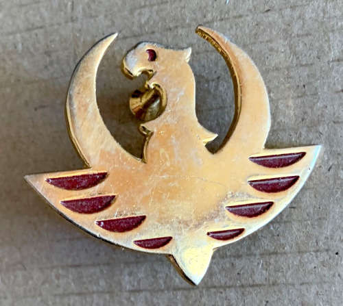 Afrikaner Weerstands Beweeging (AWB) Yster Garde Gilt metal and enamel