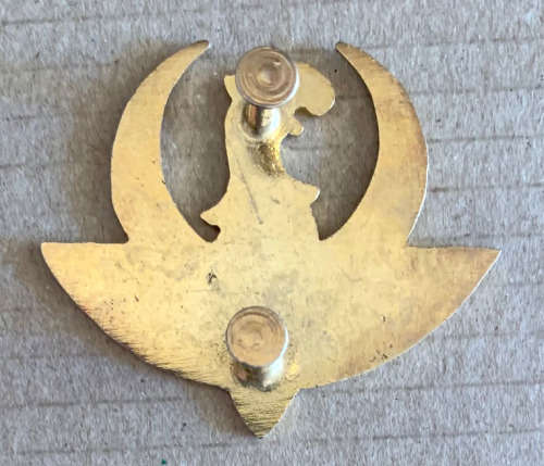 Afrikaner Weerstands Beweeging (AWB) Yster Garde Gilt metal and enamel