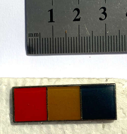 Technical Service Corps beret bar (2 pins)