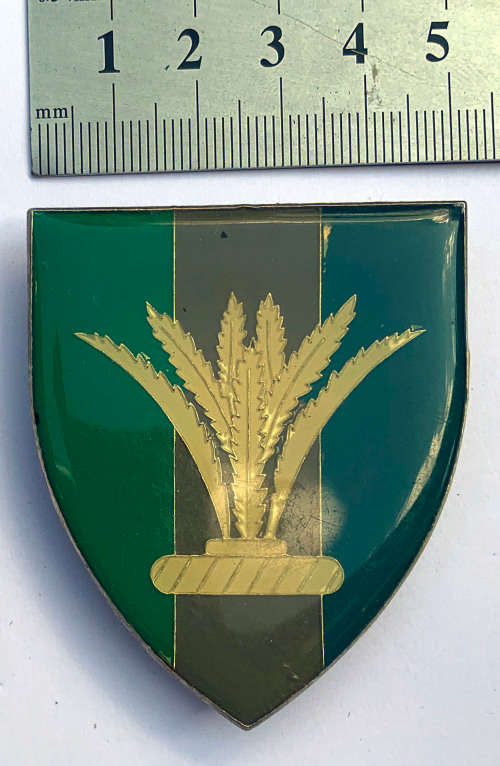 Sector 10 Signals Unit shoulder flash (3 pins)
