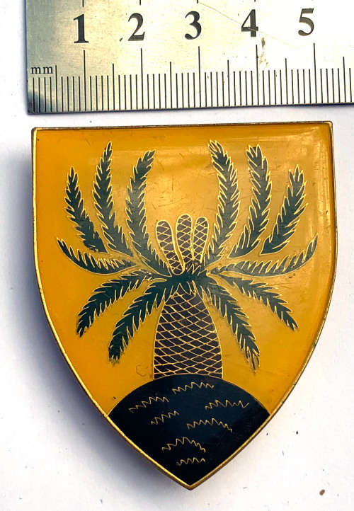 4 SA Infantry shoulder flash (3 pins)
