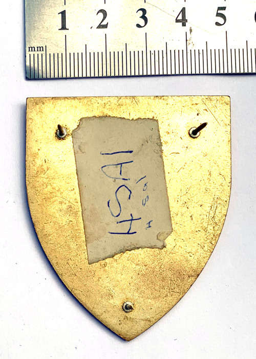 4 SA Infantry shoulder flash (3 pins)