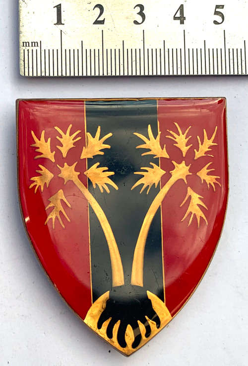 Grootfontein Provost Unit shoulder flash (3 pins)