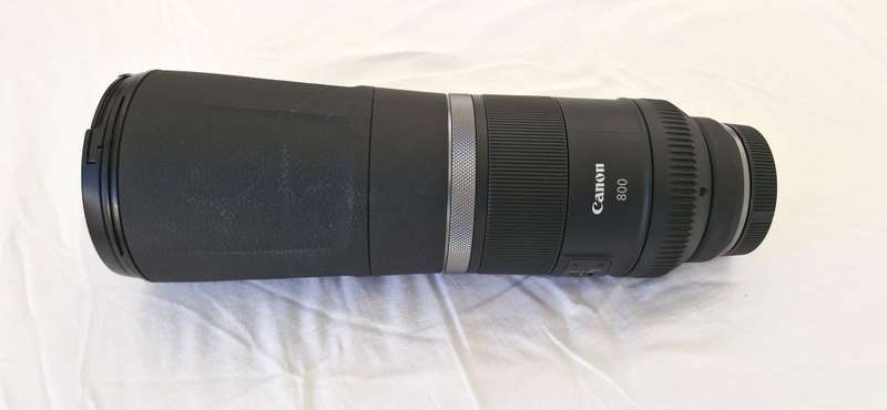 Canon RF 800mm F11 Lens