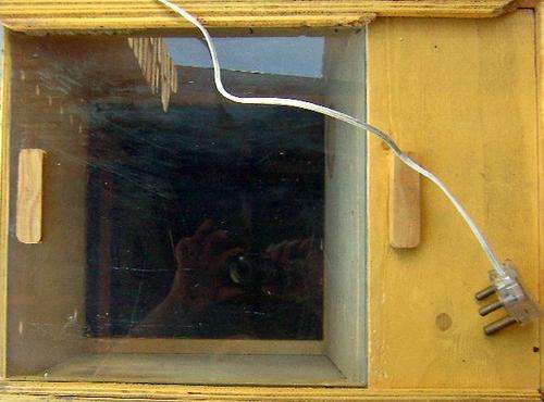 Parrot's Large Breeding  Box with Light - (Maccaws/Greys, etc.)