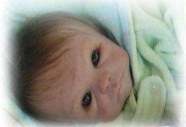 Reborn Baby Boy - FEELING CRAZY THIS WEEK - ONE DAY ONLY - *Billy-Joe* Adorable by Destiny's Angels