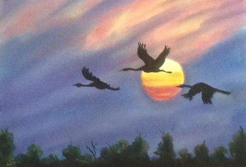 Birds Flying over Sunset