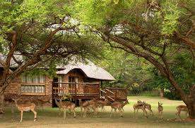 KRUGER PARK LODGE DECEMBER GIVEAWAY