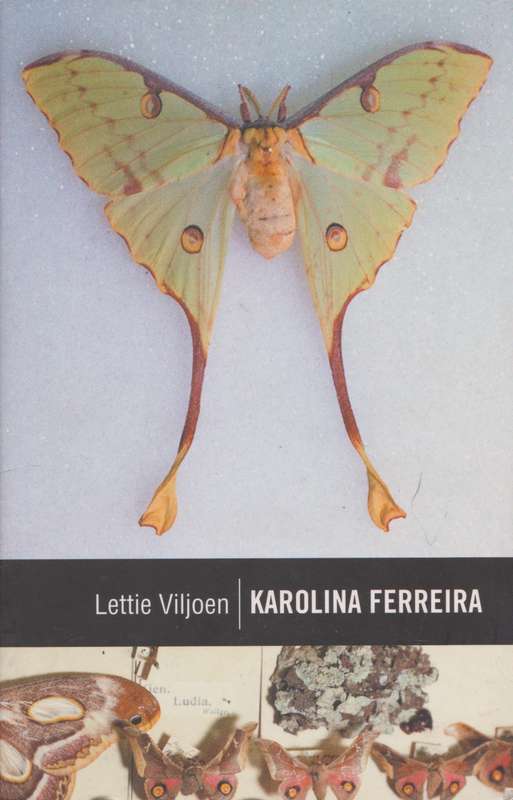 Karolina Ferreira deur Lettie Viljoen