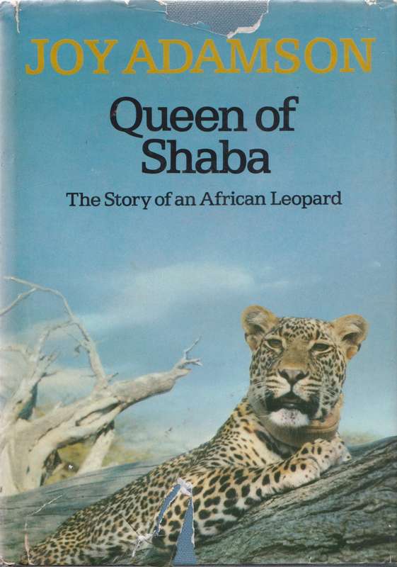 Queen of Shaba by Joy Adamson (Her Last Book)