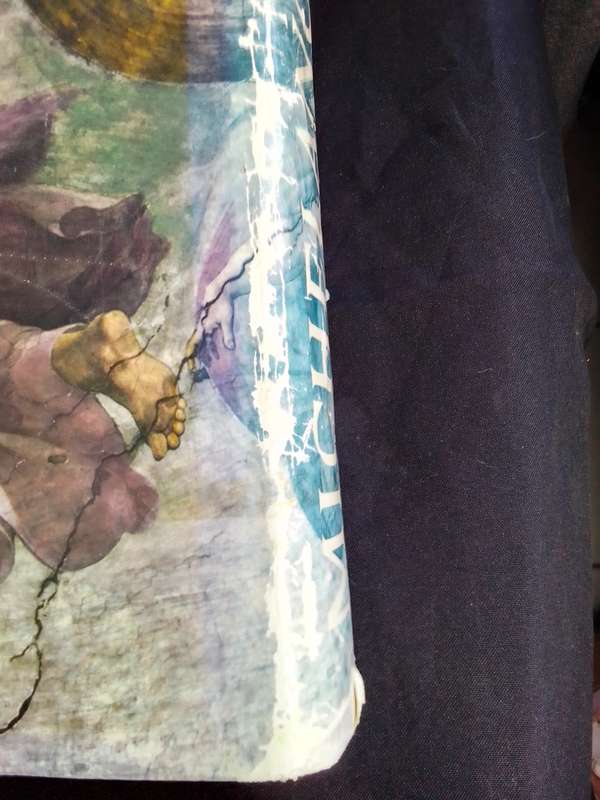 Complete work of Michelangelo