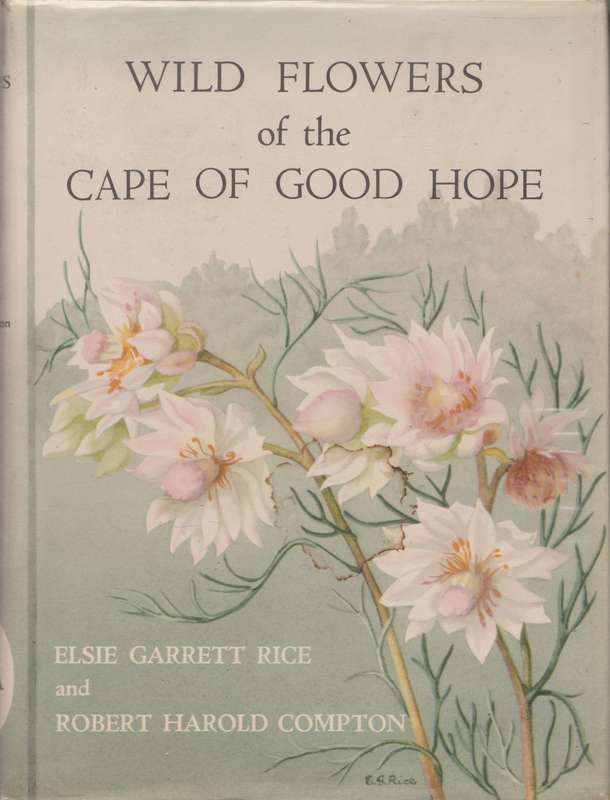 Wild Flowers of the Cape of Good Hope by Elsie Garrett Rice & Robert Harold Compton