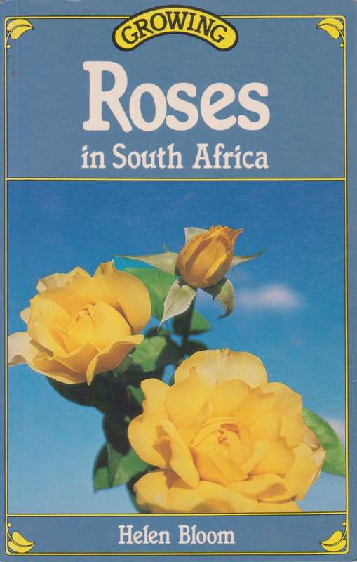Growing roses in South Africa by Helen Bloom
