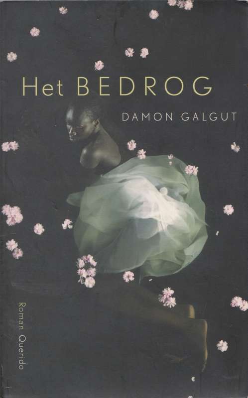 Het bedrog by Damon Galgut