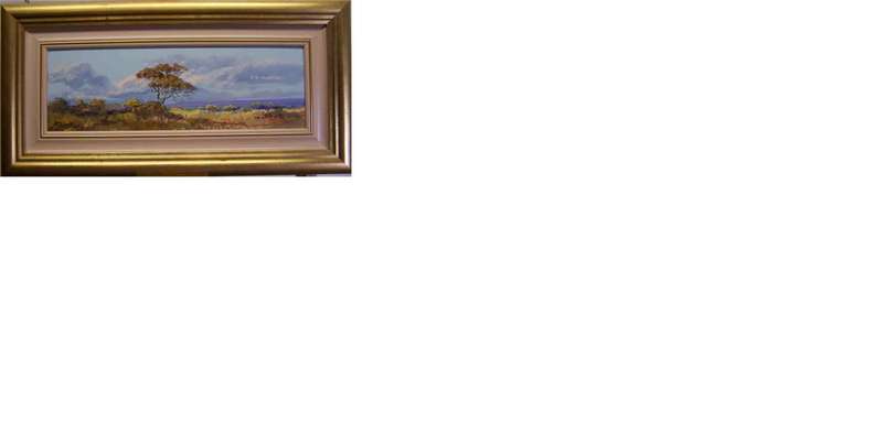 Francois Badenhorst Original