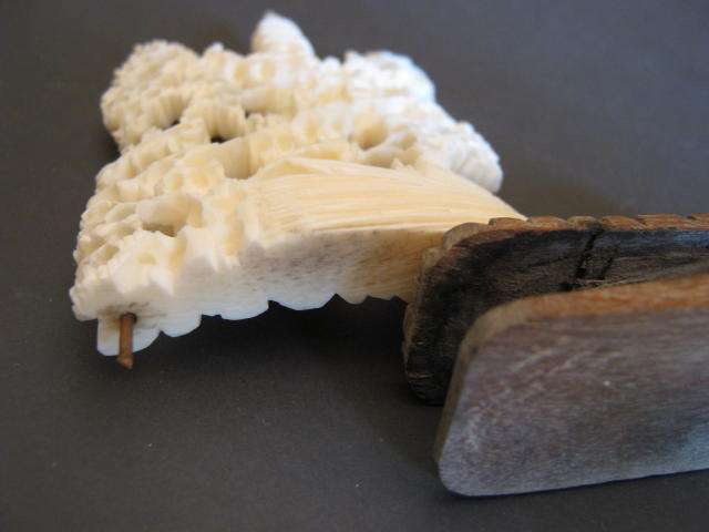 ivory