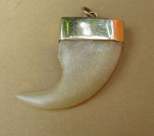 ANTIQUE LION'S CLAW PENDANT SET IN GOLD CASING