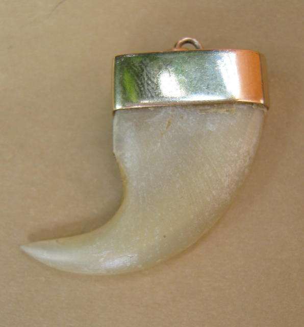 ANTIQUE LIONâS CLAW PENDANT SET IN SOLID GOLD CASING