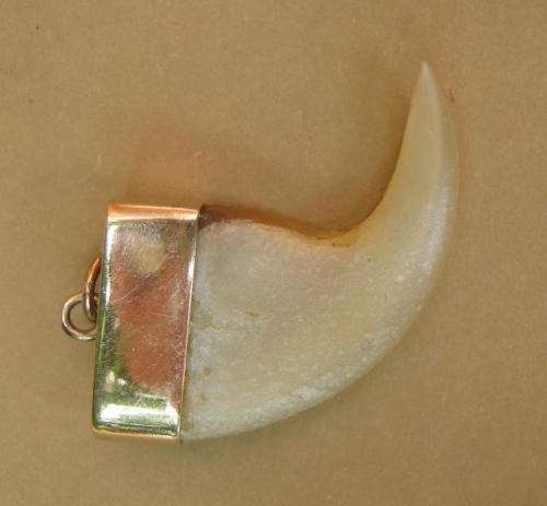ANTIQUE LION'S CLAW PENDANT SET IN GOLD CASING