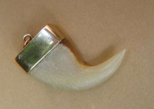 ANTIQUE LION'S CLAW PENDANT SET IN GOLD CASING