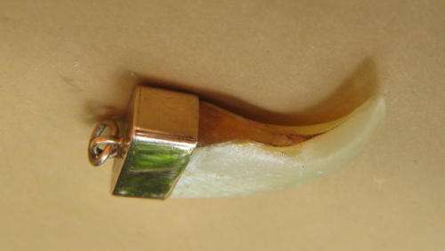 ANTIQUE LION'S CLAW PENDANT SET IN GOLD CASING