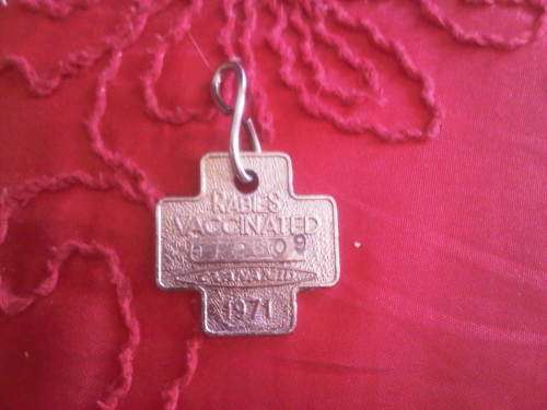 Vintage Dog Tag