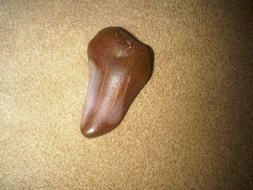 Fossilized SharkTooth