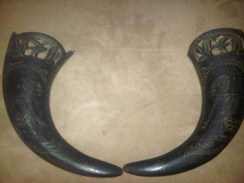 2 Very Well Carved Indonesian Horns