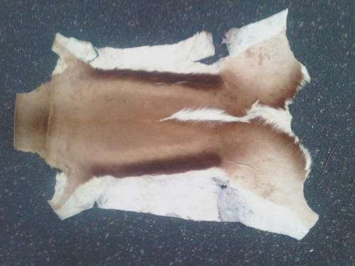 Awesome Treated Buck Skin