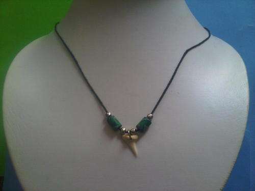 Shark Tooth Necklace