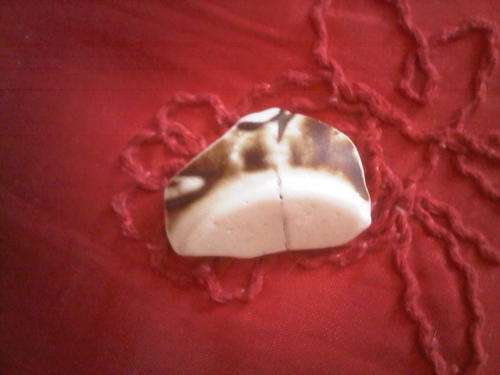 South Coast Ship Wreck Pottery Bit